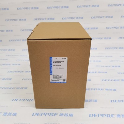 ​Kraus&Naimer  KG251.T303/SGY621.E 转换开关 