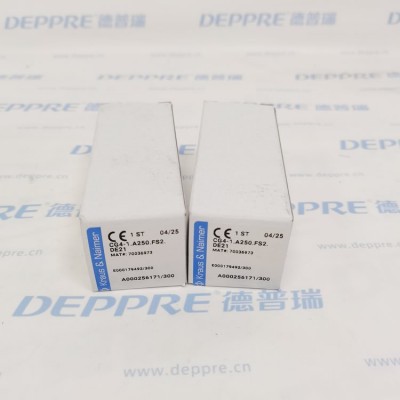 Kraus&Naimer CG4-1.A250.FS2.DE21 凸轮开关图5