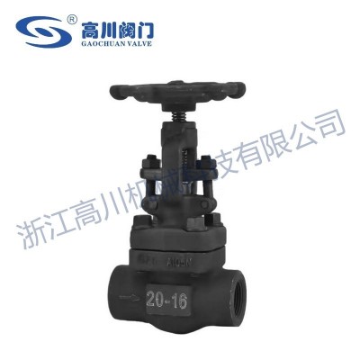 J11H,J11Y内螺纹锻钢截止阀图2