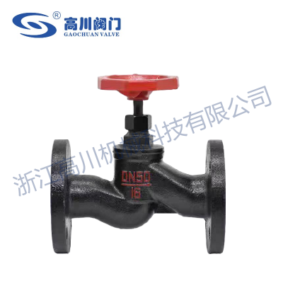 J41T铸铁法兰截止阀图2