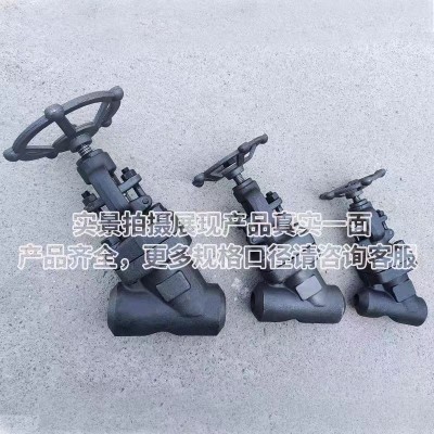 J65Y-Y型锻钢截止阀图2