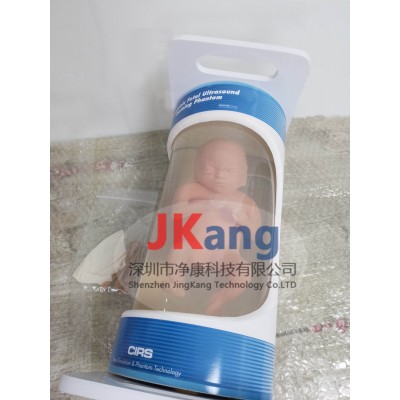 美国CIRS 068胎儿超声模体图2