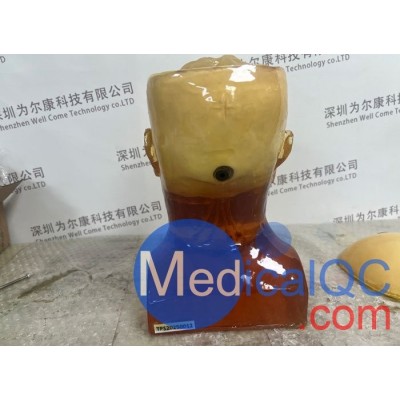 HD-C03成人头模 HD-C03血管造影头模图2