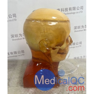HD-C03成人头模 HD-C03血管造影头模图3