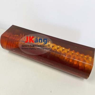 SE-A01成人脊柱模型图3