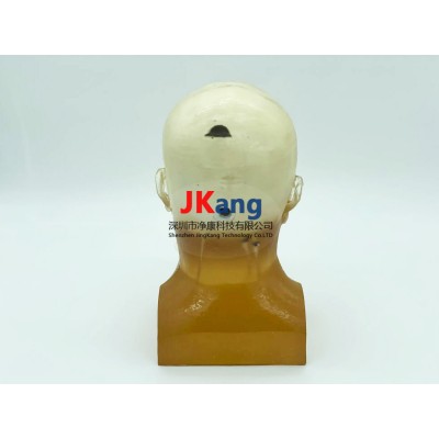 WEK-DSA03成人头部模型图3