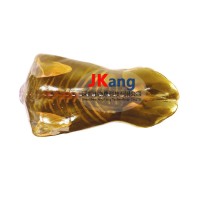 US-A04 FAST训练躯干模体