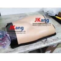 BPF1500-HP血管通路和区域麻醉超声训练模体