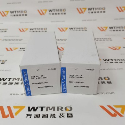 Kraus&Naimer CG8.A271.FT4 凸轮转换开关图3