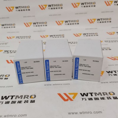 Kraus&Naimer CG8.A231.FT1 转换开关图2