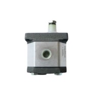 DUPLOMATIC GP1-0041R97F/20N齿轮泵 油泵