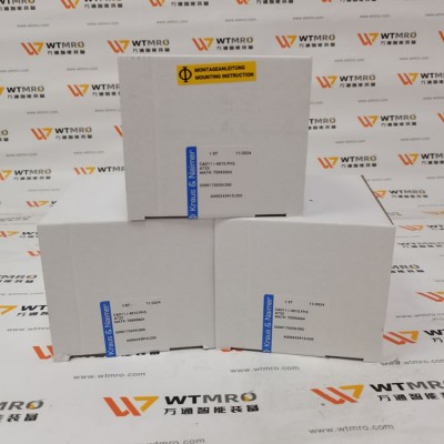 Kraus-Naimer CAD11.I-4010.FH3.AT22 蓝系列转换开关图3