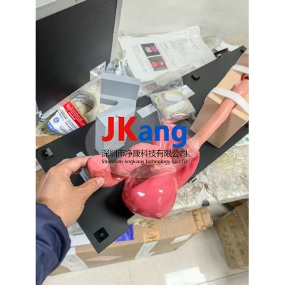 LM-103食管胃十二指肠镜模拟器图2