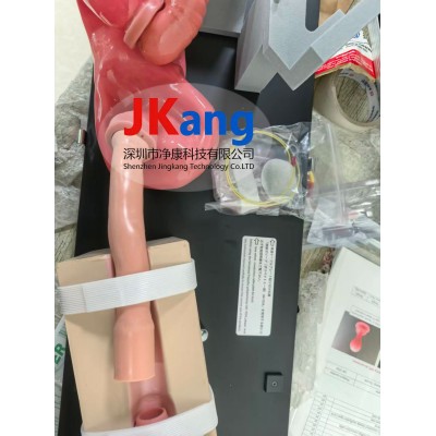 LM-103食管胃十二指肠镜模拟器图3