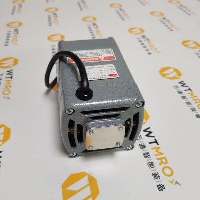 Dayton 2M145开放式电机