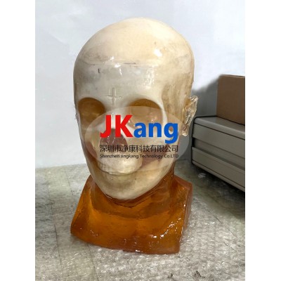 HD-A05血肿头模图2