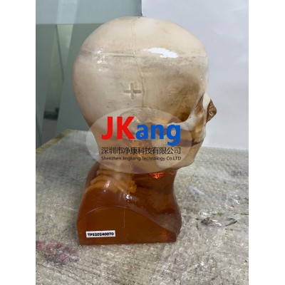 HD-A05血肿头模图3