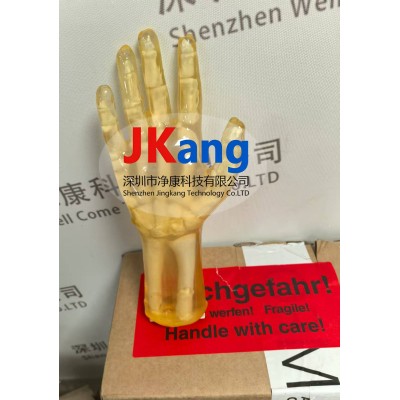 透明手掌模体 进口图3