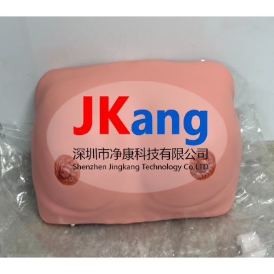 高级乳房检查模型 乳腺视诊触诊模型图2