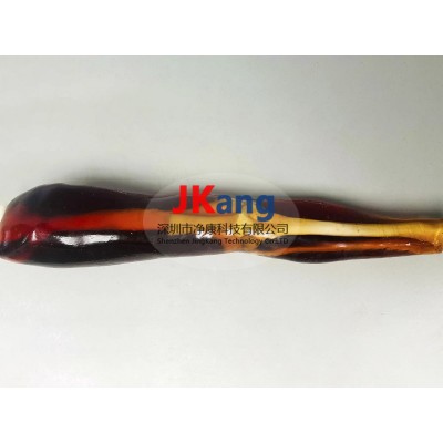 KE-A02成人膝关节模体图2