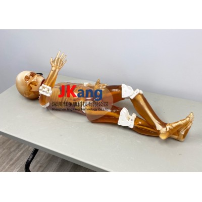 FB-P01儿科全身模体图2