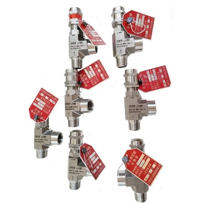 螺纹不锈钢材质卸荷阀高压安全阀图4