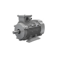 Ac-Motoren ACM 100 LA 6/PHE 异步电机