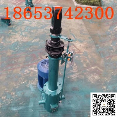DTZ1750-600直式电液推杆定做的,限位开关,推力行程定做图3