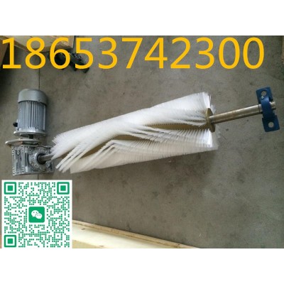毛刷清扫器毛刷更换毛刷，1600mm等尺寸定做图2
