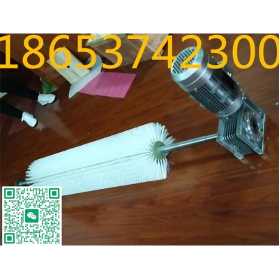 毛刷清扫器毛刷更换毛刷，1600mm等尺寸定做图4
