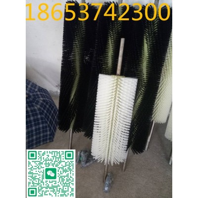 毛刷清扫器毛刷更换毛刷，1600mm等尺寸定做图5