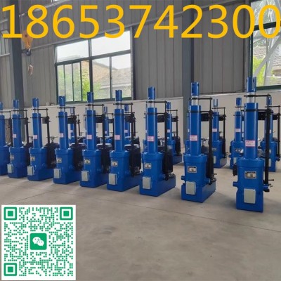 DTZ1750-500直式电液推杆,过载保护，限位开关图4