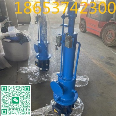 DYTZ2500-500直式电液推杆定做，防爆电机等图2