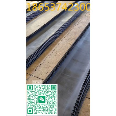 裙边环形输送带 无接口运输胶带 B1200定制带宽图5