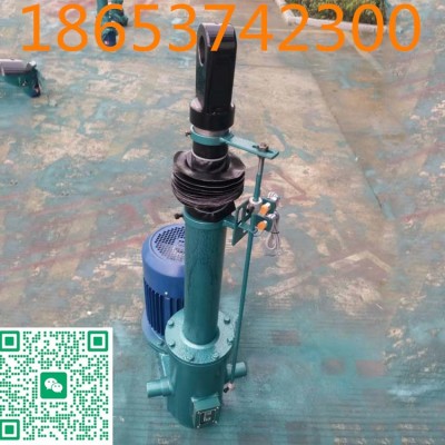 DT800-500电动推杆定做,可配行程开关图5