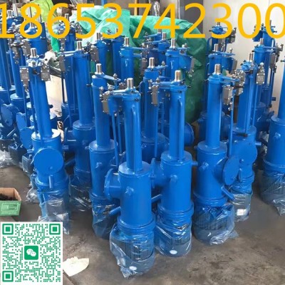 DYTZ1750-600直式电液推杆推力行程定做,可配防爆电机图3