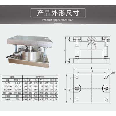 NTG系列防爆轮辐称重模块图2